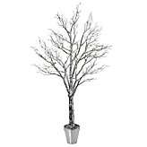 7' Silver Twig Potted Tree