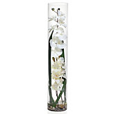 Orchid in Glass Vase - White