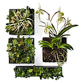 Succulent Gardens