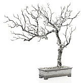 Bonsai Tree - Silver