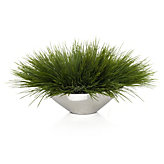 Grass In Silver Pot