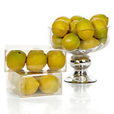Lemon Vase Filler