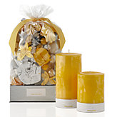 Tahitian Sun & Pineapple Fragrance Collection