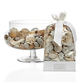 Shore Potpourri
