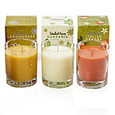 Stella Mare Scented Candles