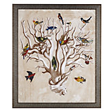 Bird Watcher's Dream