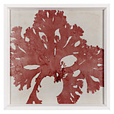Brilliant Seaweed 5