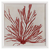 Brilliant Seaweed 9