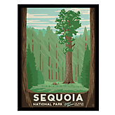Sequoia National Park