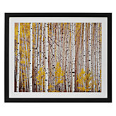 Aspen Grove Colorado