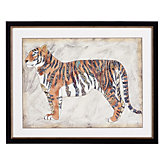 Royal Tiger