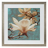 Magnolia 1