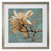 Magnolia 2
