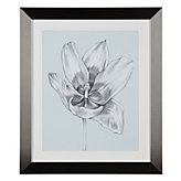 Silvery Blue Tulips 2
