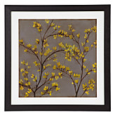 Forsythia 2