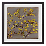 Forsythia 1