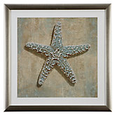 Aqua Starfish