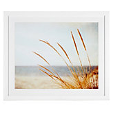 Warm Breeze