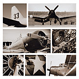 Flight Series