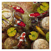 Koi Fish Pond