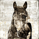 Winter Stallion - Glass Coat
