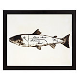 Fish Butcher Chart