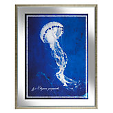 Blue Jellyfish