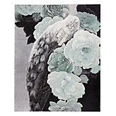 Silver Leaf Peacock