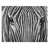 Silver Zebra