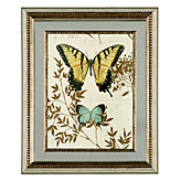 Nature's Curiosities 6