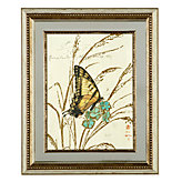 Nature's Curiosities 1