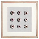 Sea Urchin Shadowbox