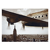 Wings Over Manhattan