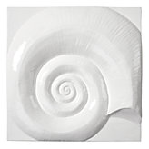 Ammonite Shell Plaque