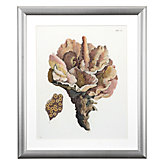 Antique Coral 3