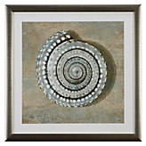 Aqua Seashell