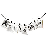 Bird on a Wire Photo Holder