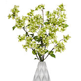 Bougainvillea Spray - Green - Set of 3