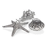 Electroplated Clam Shell, Murex & Starfish