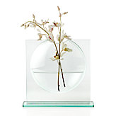 Ellipse Vase