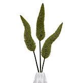 Foxtail Spray - Set of 3