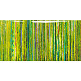 Limecicles - Glass Coat