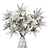 Magnolia Stem - Grey