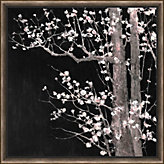 Midnight Cherry Blossom