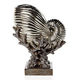 Nautilus Shell Bowl