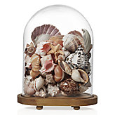 Oval Bell Jar