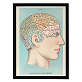Phrenology