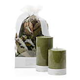 Sahara Fragrance Collection