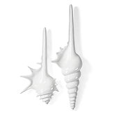Shell Plaques - White