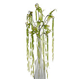 Slipper Orchid Spray